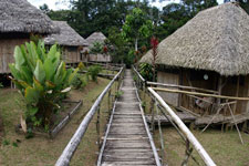 Ecuador-Amazon-La Selva Jungle Lodge